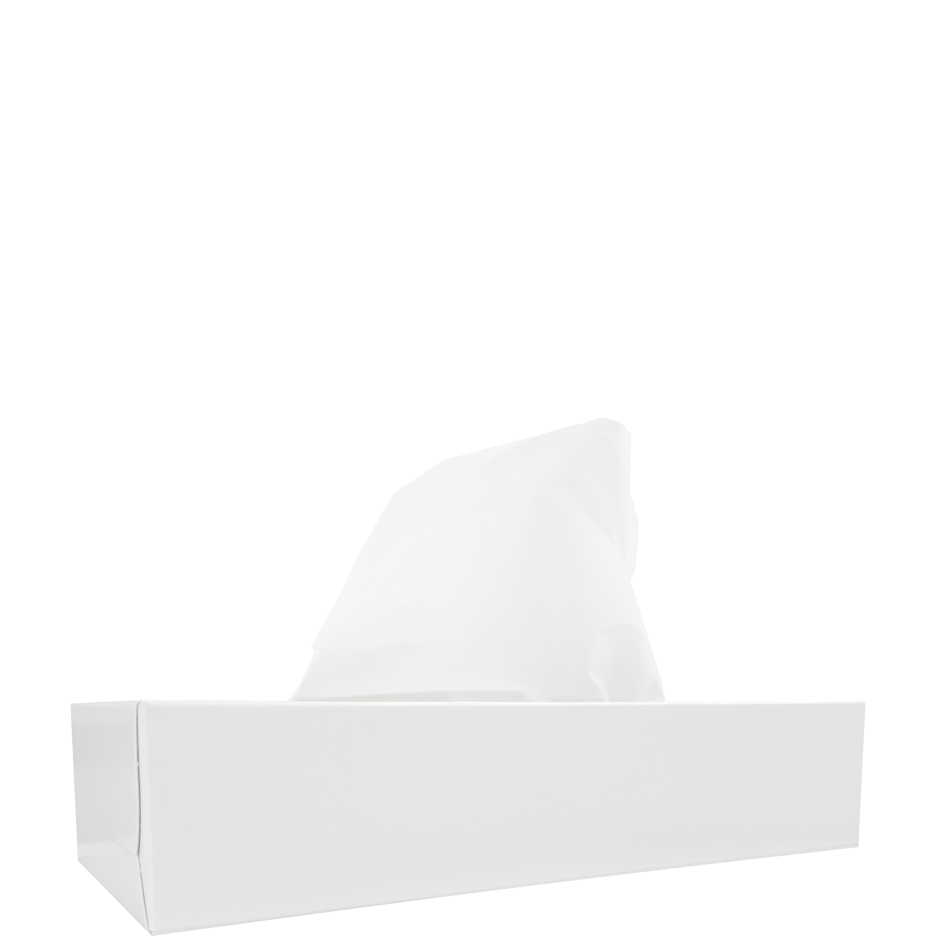 Gezichtsdoekjes rechthoek - 100 2-laags doekjes