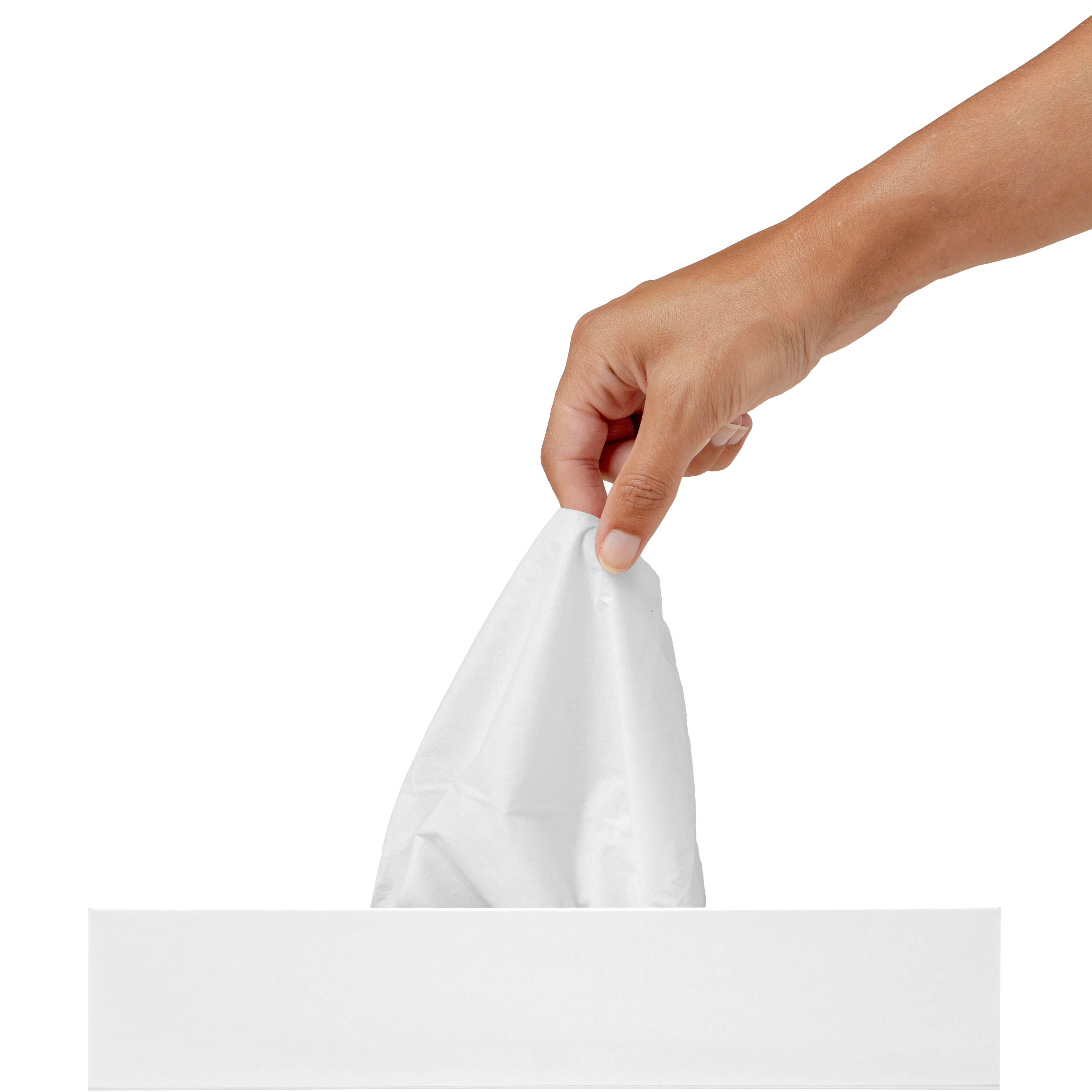 Gezichtsdoekjes rechthoek - 100 2-laags doekjes