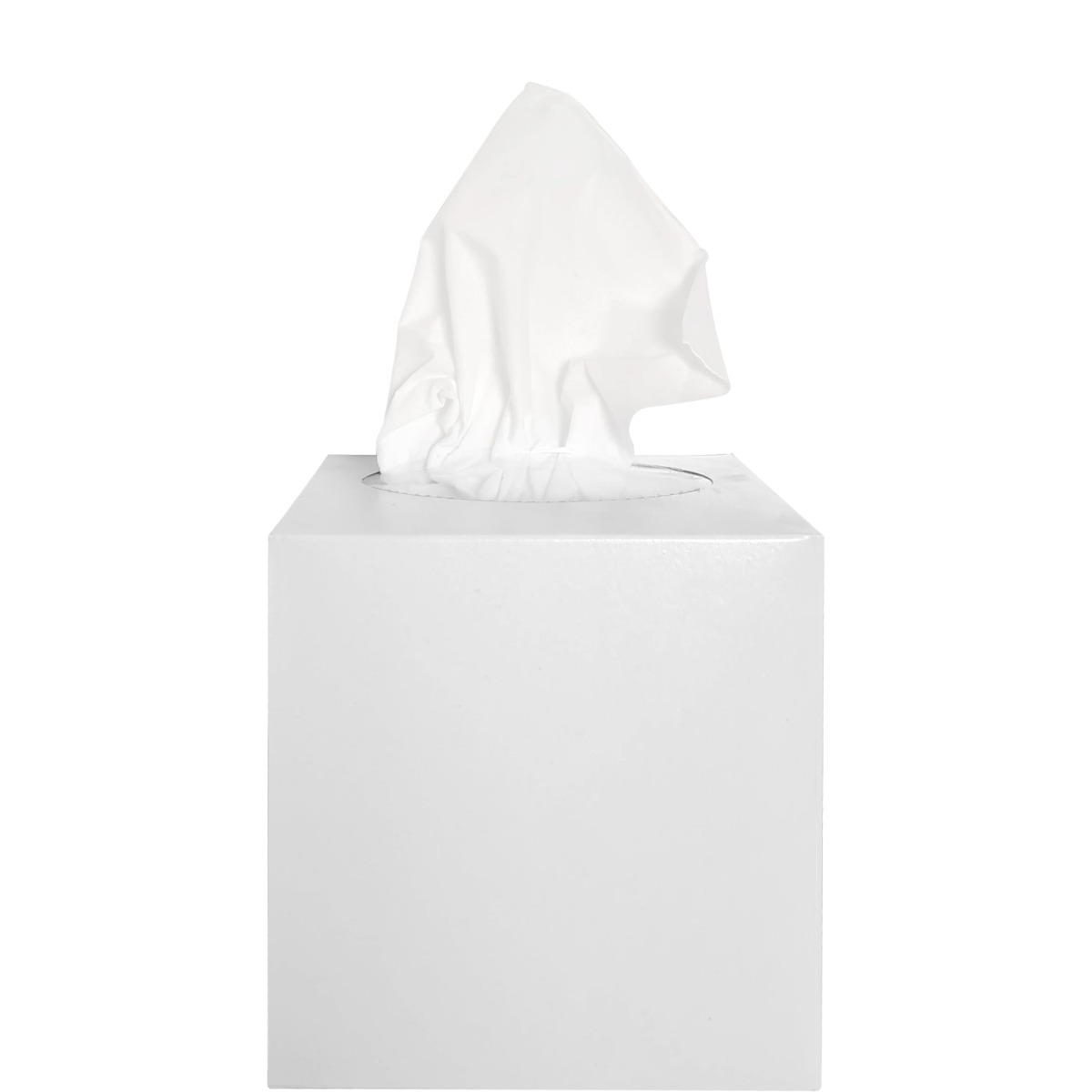Facial tissues 80 sheets 2-layers cube box (Box of 20 pieces)
